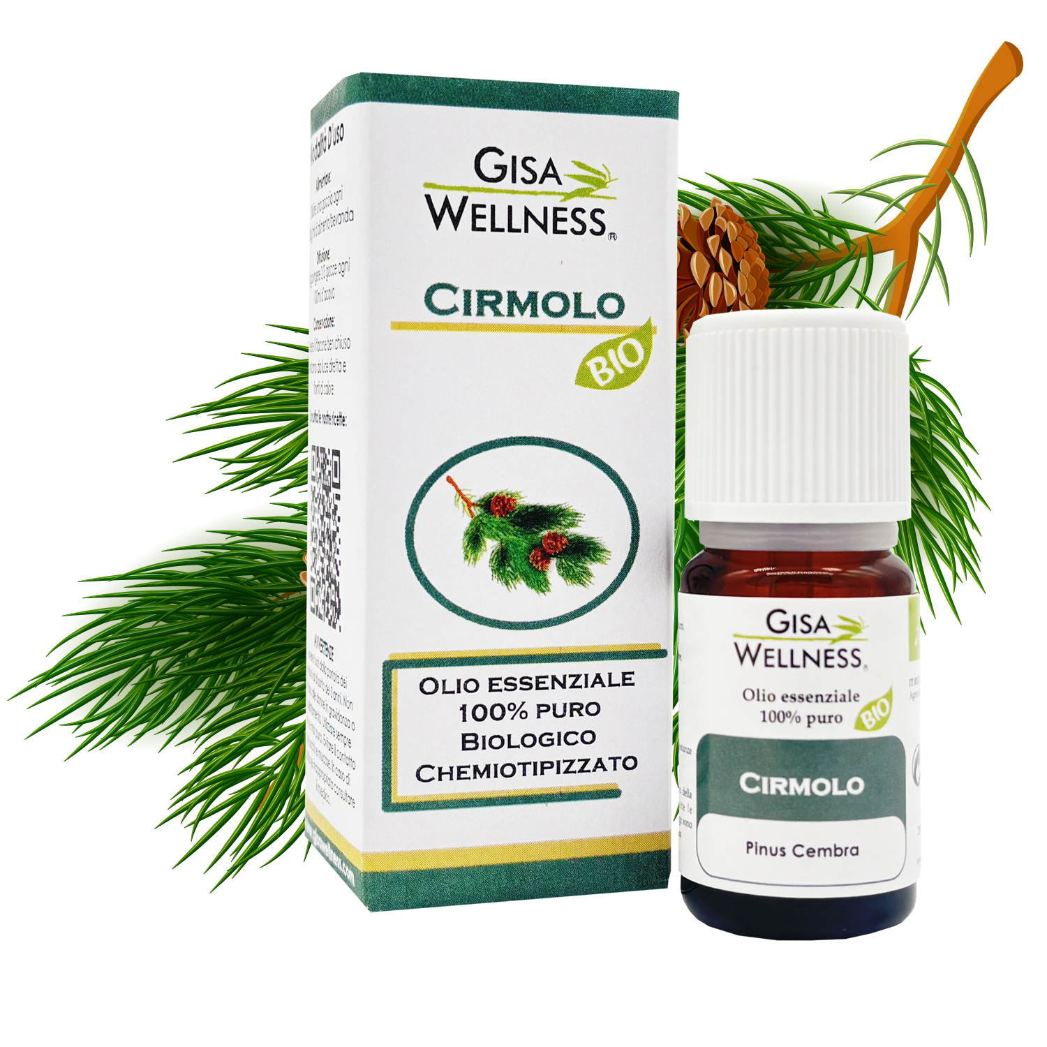 cirmolo bio