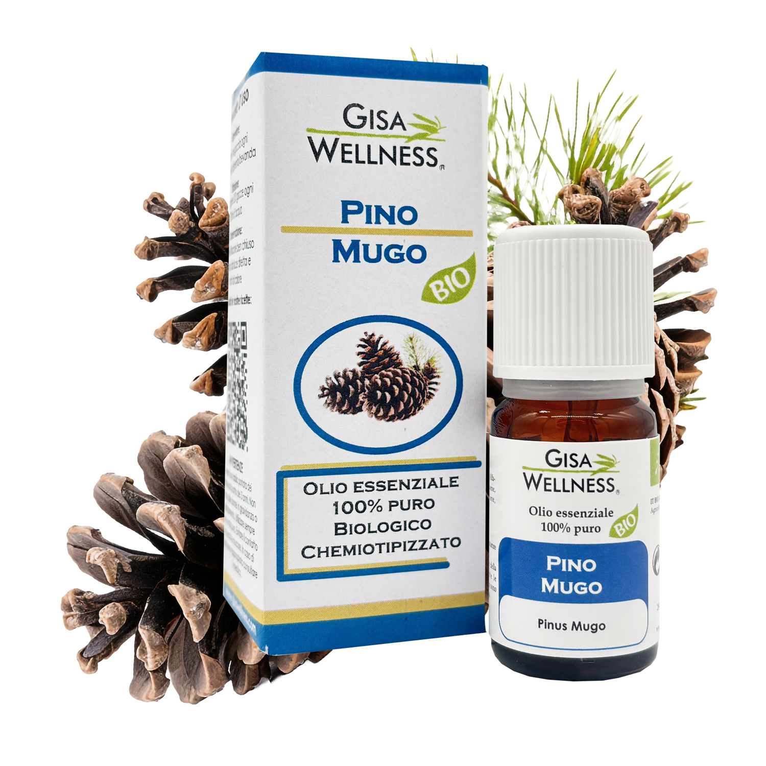 pino mugo bio