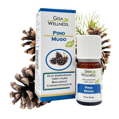 pino mugo bio